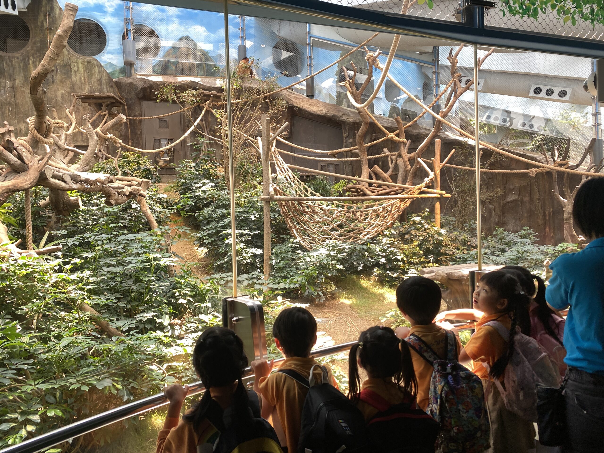 幼兒專注觀察