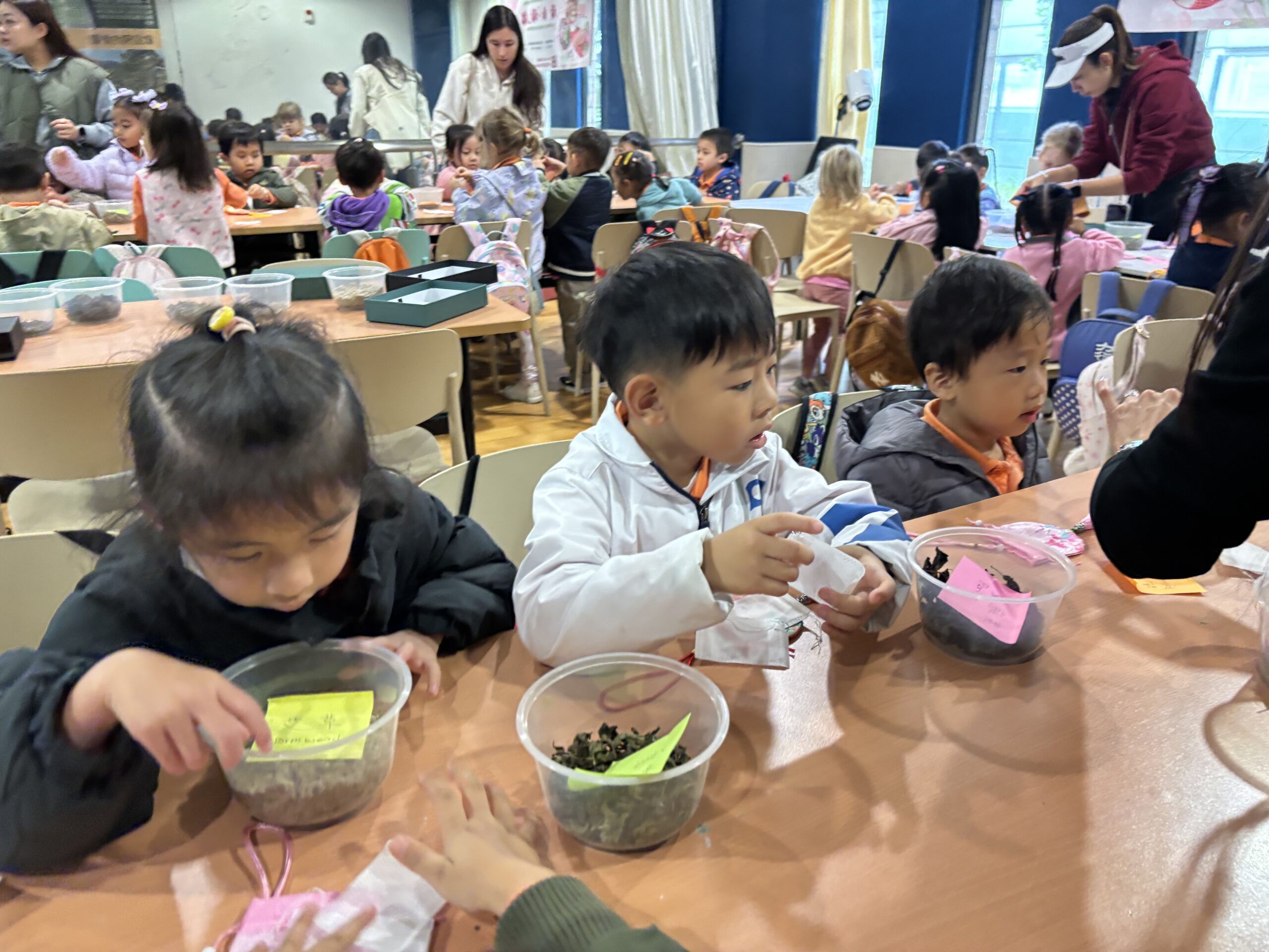 草本屋導賞活動四